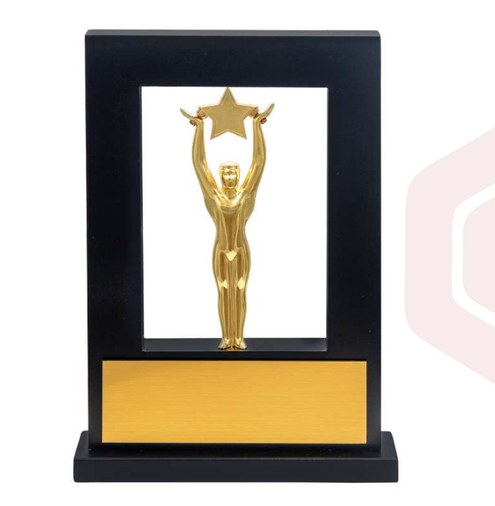 Saga Sports And Trophies - Album - Glass Trophies Manufacturers In Bangalore