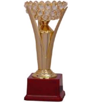 Saga Sports And Trophies - Latest update - Resin Trophies Manufactures In Peenya