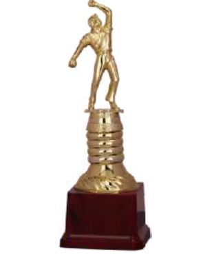 Saga Sports And Trophies - Latest update - Fiber Trophy Statues Manufacturers In Bangalore