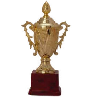 Saga Sports And Trophies - Latest update - Fiber Trophy Statues Manufacture In Bangalore