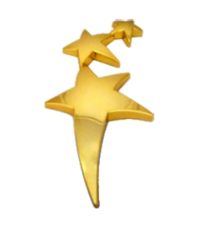 Saga Sports And Trophies - Latest update - Metal Star Trophies Manufacturers In Bangalore